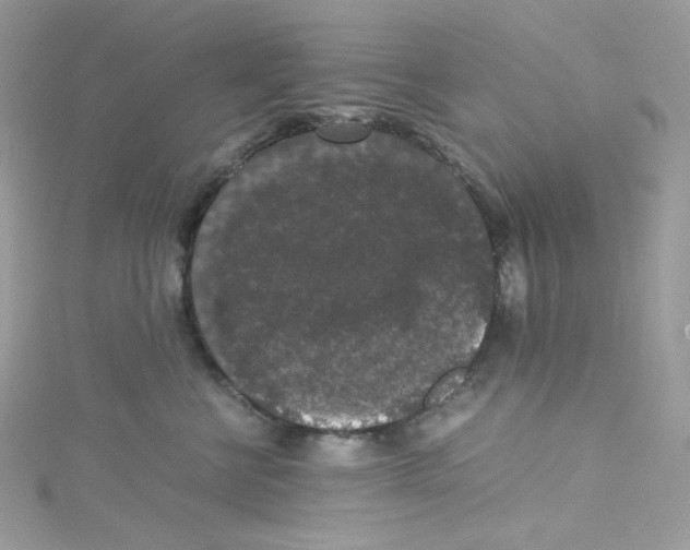 X0000114660570200911171113