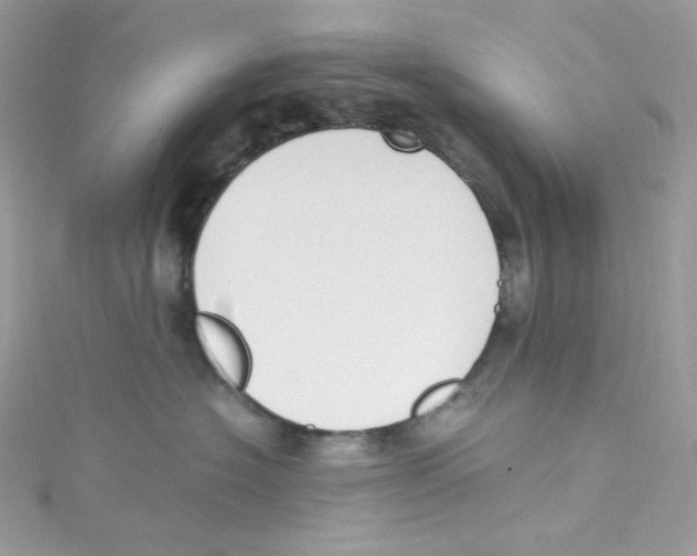 X0000114660574200911171113