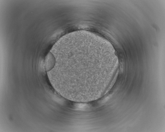 X0000114660575200911171113