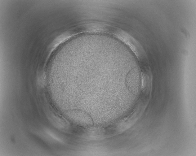 X0000114660579200911171112