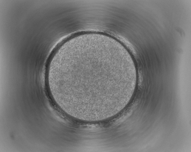 X0000114660580200911171112