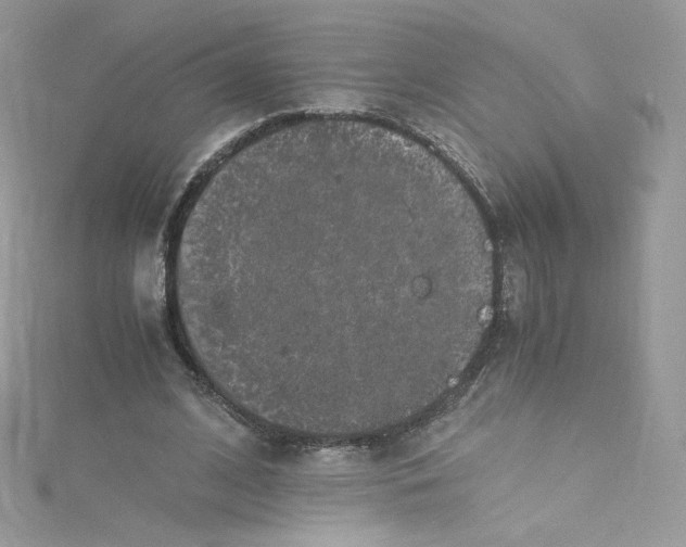 X0000114660584200911171112