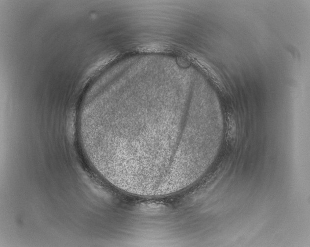 X0000114660586200911171112