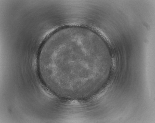 X0000114660588200911171112