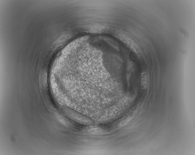 X0000114660589200911171112