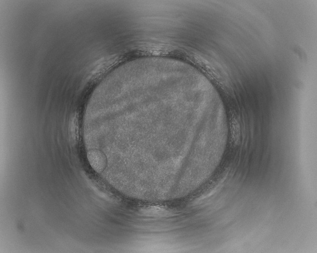 X0000114660594200911171112