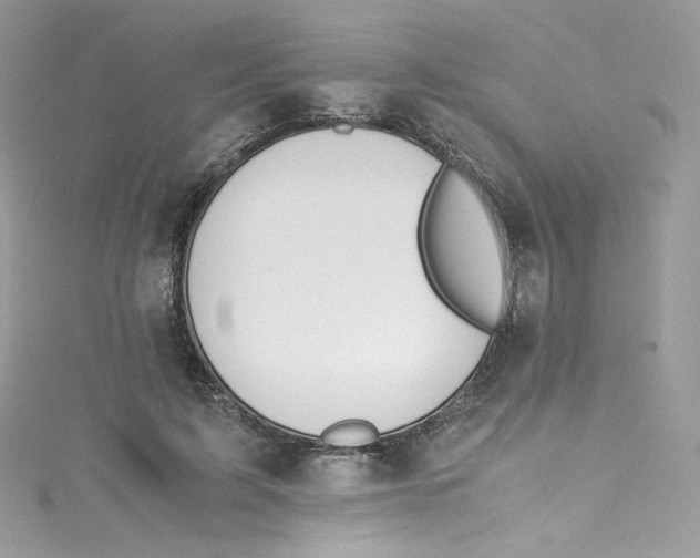 X0000114660595200911171112