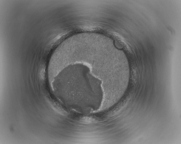 X0000114660596200911171112