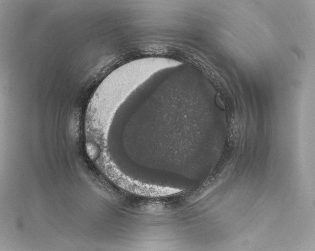 X0000114660600200911171112