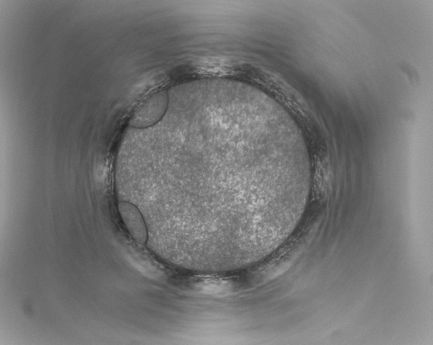 X0000114660601200911171112