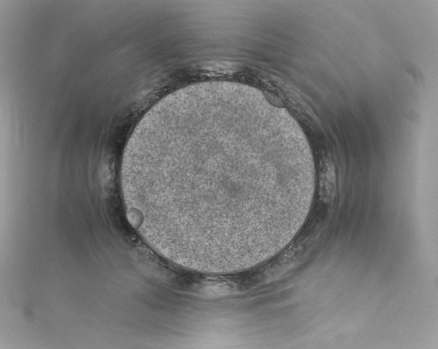 X0000114660608200911171112