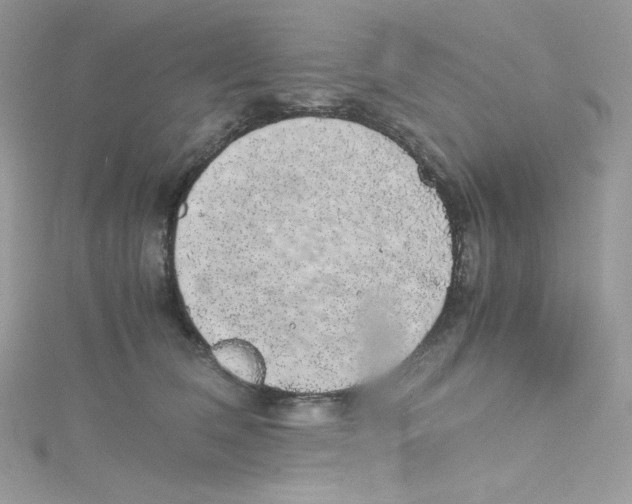 X0000114660612200911171112