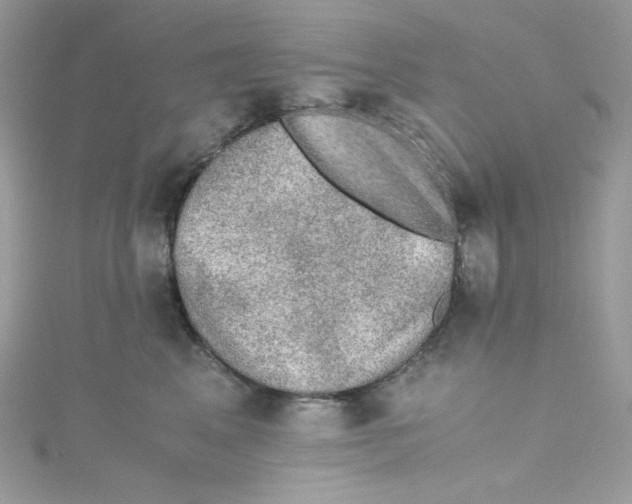 X0000114660617200911171112