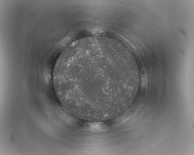 X0000114660618200911171112