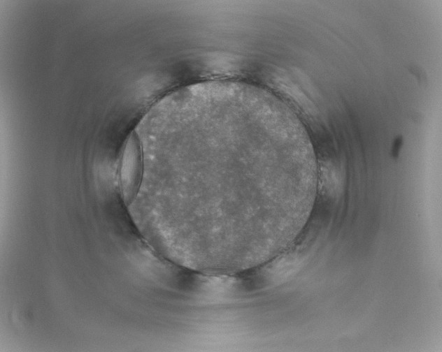 X0000114660621200911171112