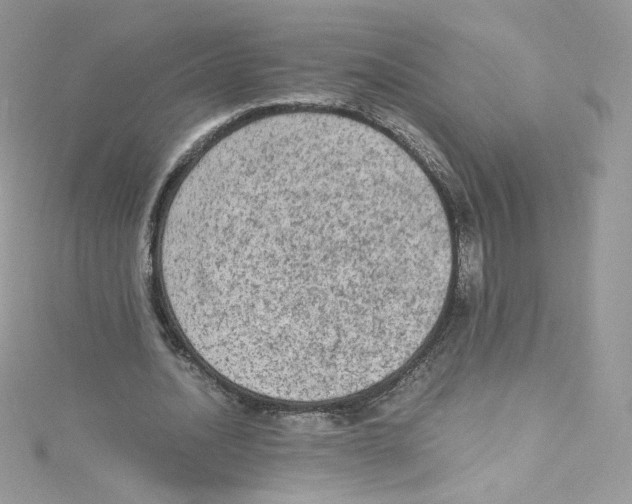 X0000114660628200911171111