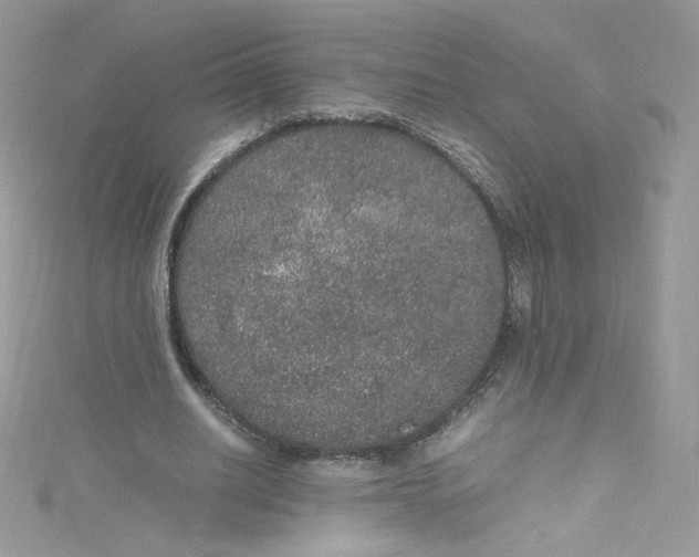 X0000114660630200911171111