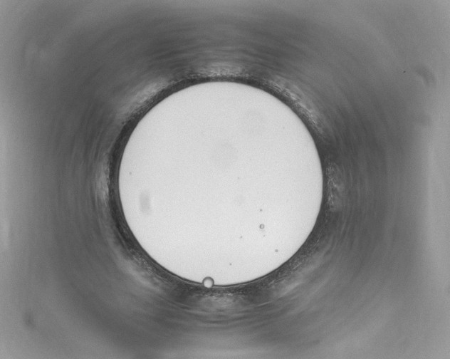 X0000114660631200911171111