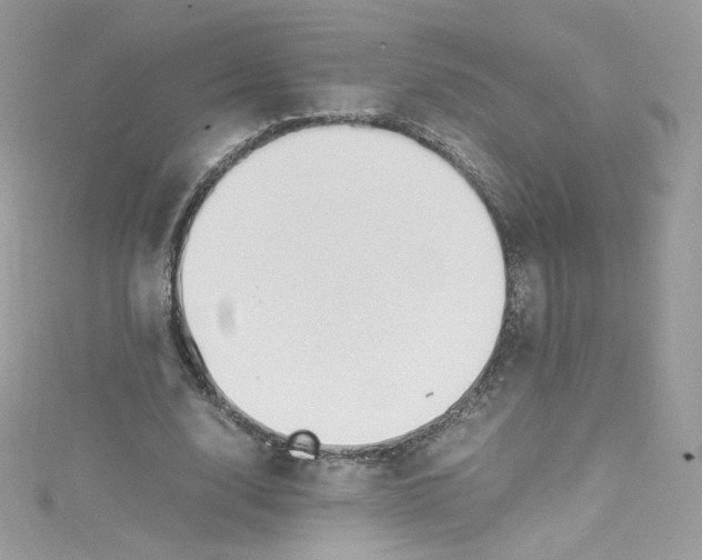 X0000114660632200911171111