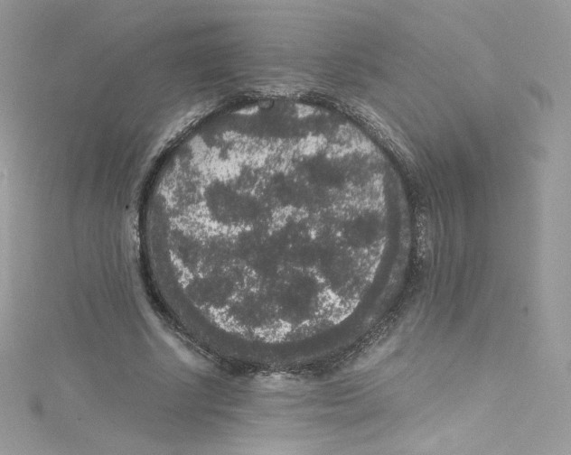 X0000114660634200911171111