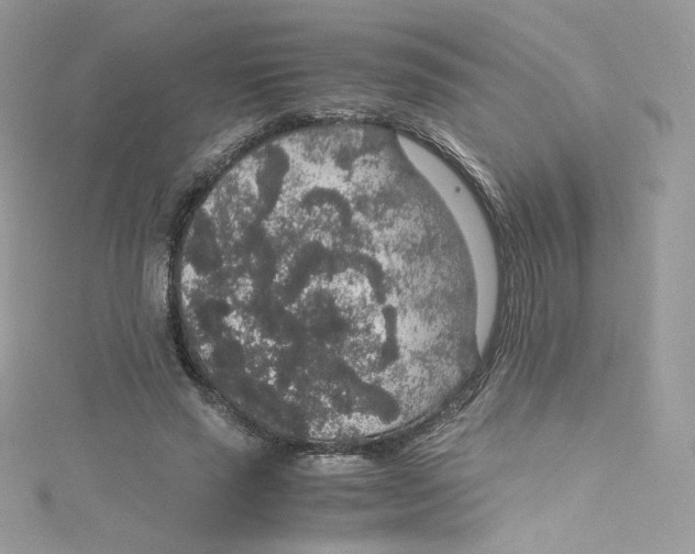 X0000114660637200911171111