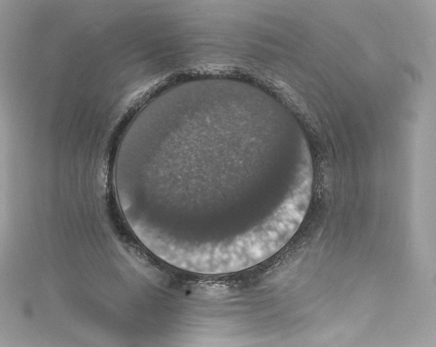 X0000114660640200911171111