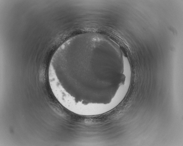 X0000114660641200911171111