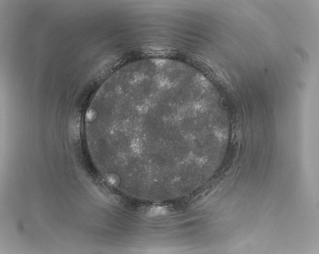 X0000114660647200911171111