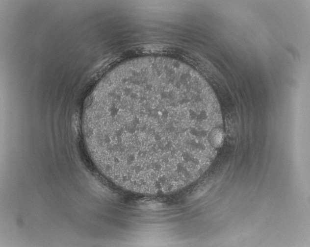 X0000114660648200911171111