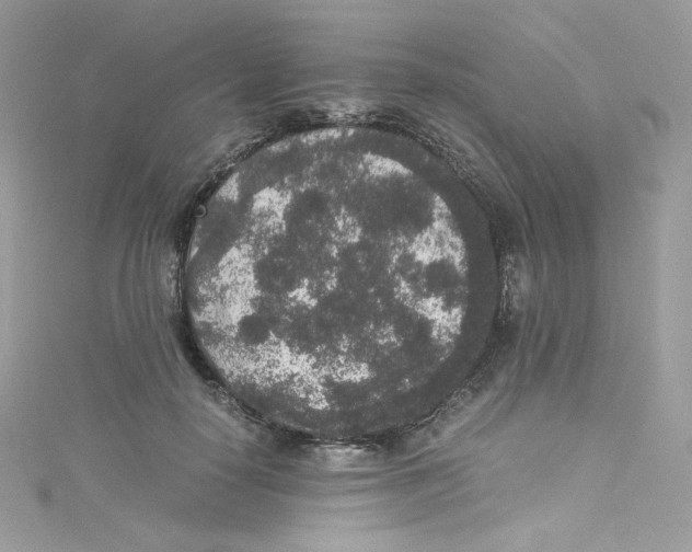 X0000114660650200911171111