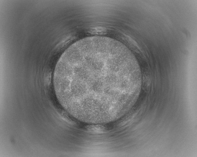 X0000114660652200911171112