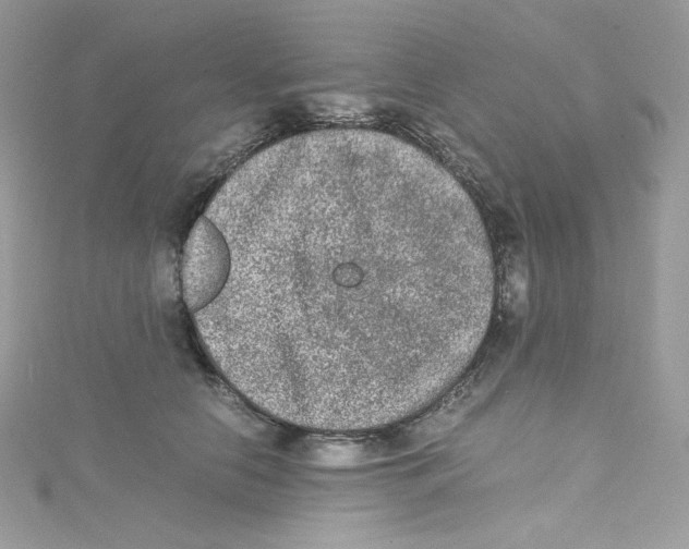 X0000114660658200911171112