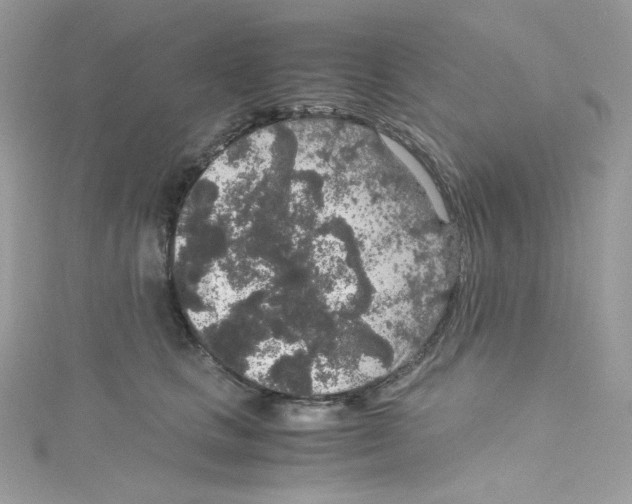 X0000114660661200911171112