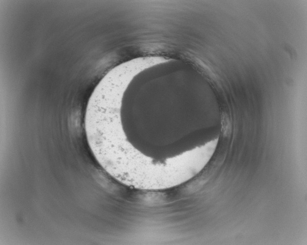 X0000114660670200911171112