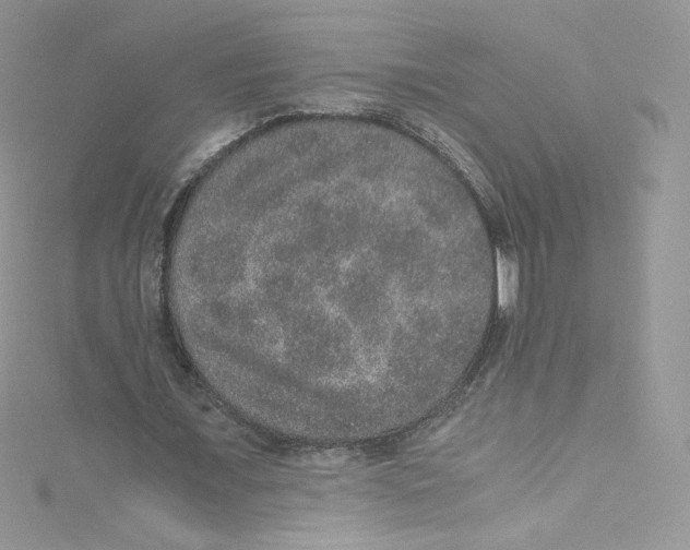 X0000114660675200911171111