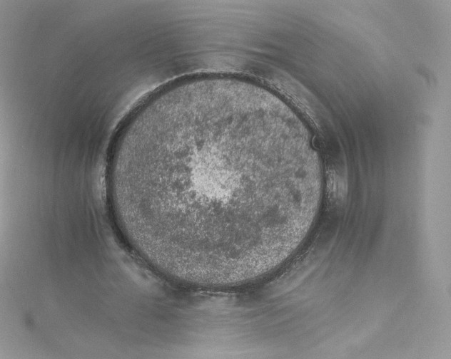 X0000114660676200911171111