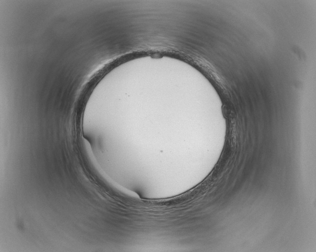 X0000114660680200911171111