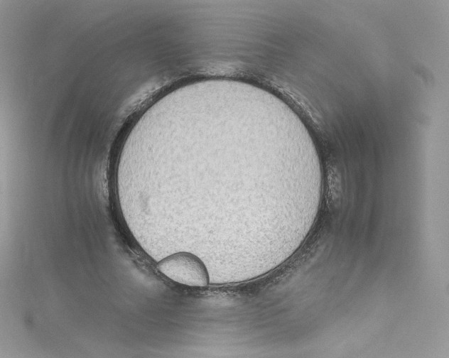 X0000114660682200911171111