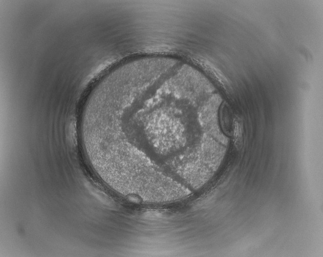 X0000114660684200911171111