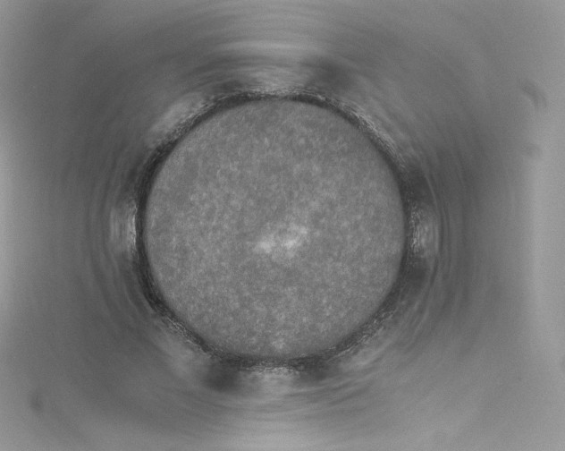 X0000114660685200911171111