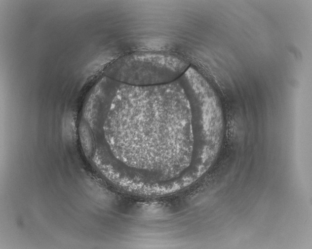 X0000114660688200911171111