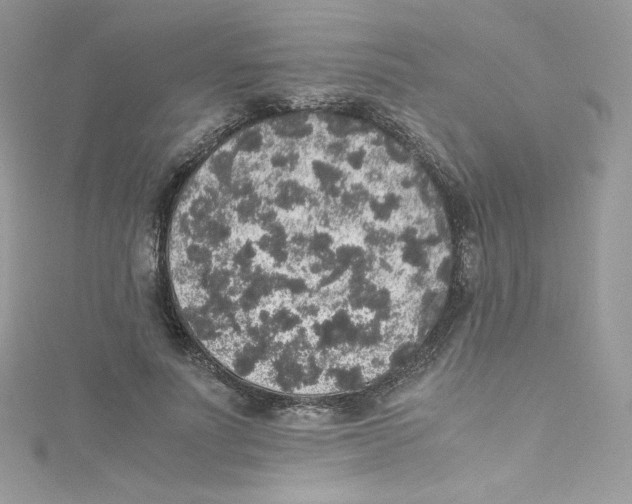 X0000114660691200911171111