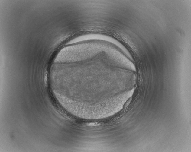 X0000114660692200911171111