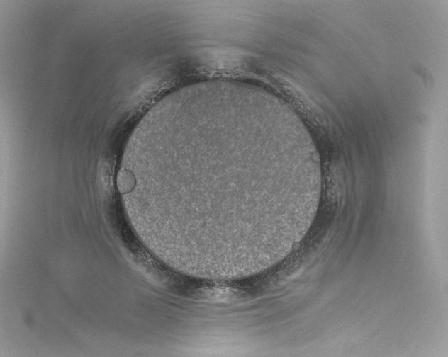 X0000114660695200911171111