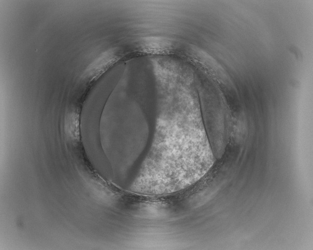 X0000114660696200911171111