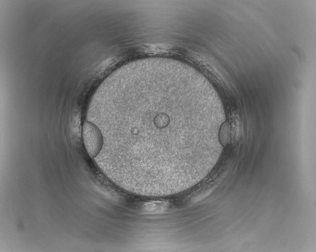 X0000114660700200911171111