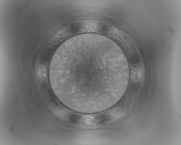 X0000114660701200911171111