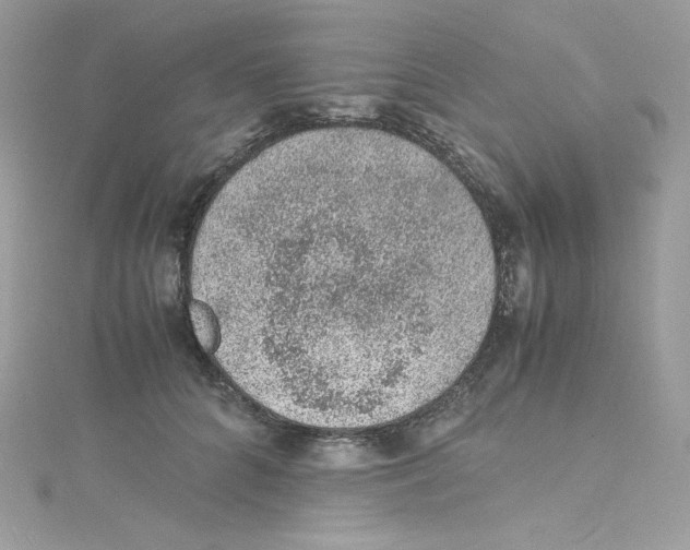 X0000114660704200911171111