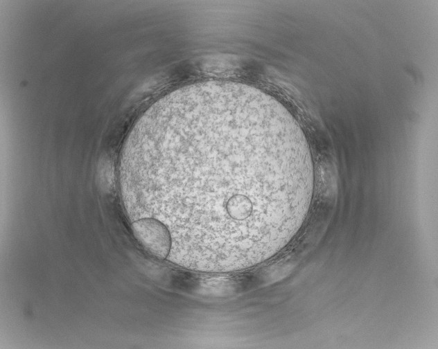 X0000114660705200911171111