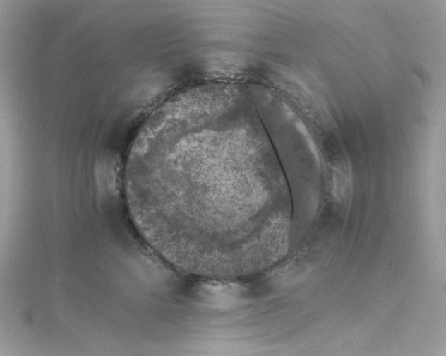 X0000114660712200911171111